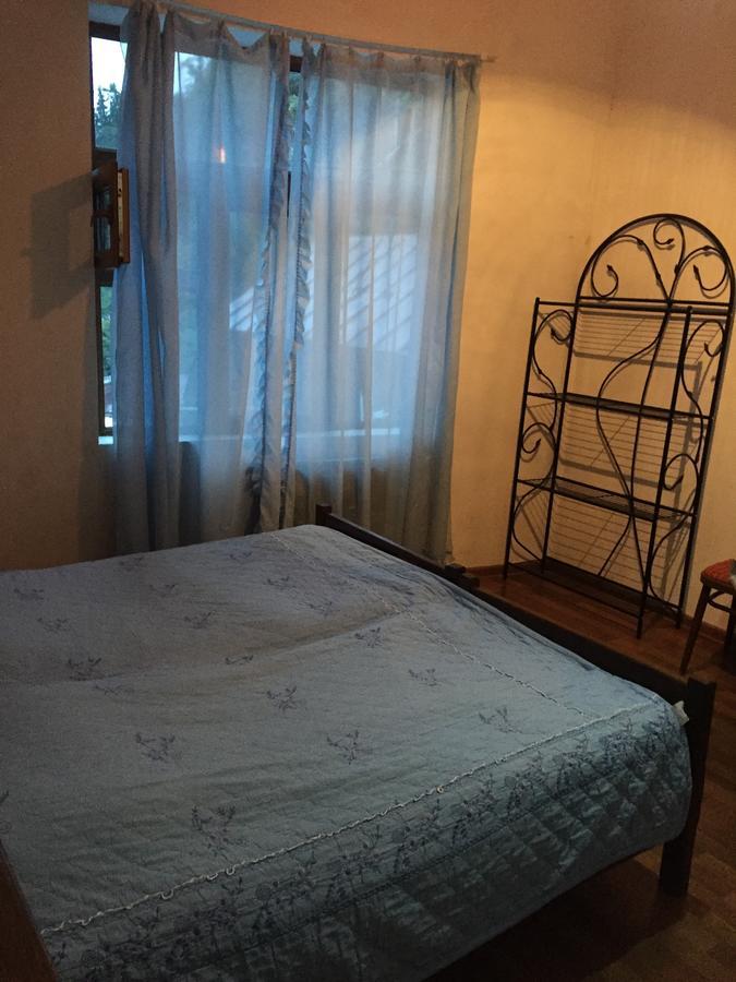 Guest House Nana Borjomi Ngoại thất bức ảnh